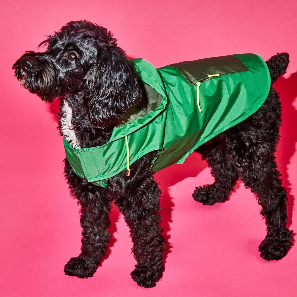 Green Dog Jacket